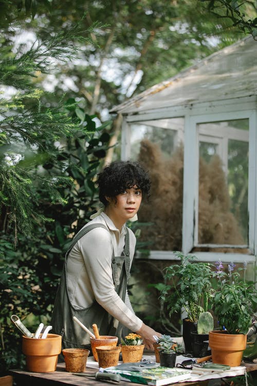灰色夹克的男人站在绿色的植物附近 · 免费素材图片