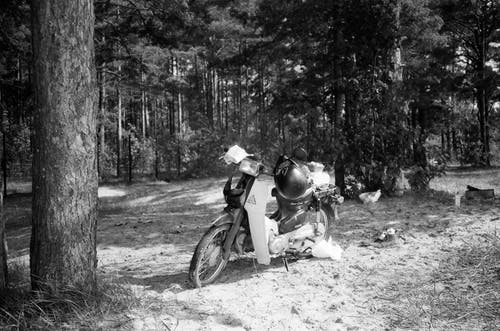 有关单色, 摩托车, 森林的免费素材图片