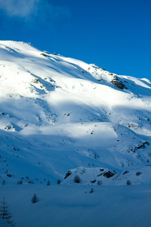有关下雪的, 冬季, 冷的免费素材图片