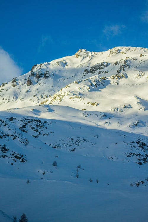 有关低角度拍攝, 冬季, 冰的免费素材图片