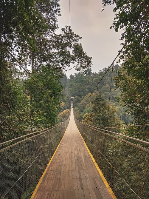 有关吊橋, 围栏, 垂直拍摄的免费素材图片