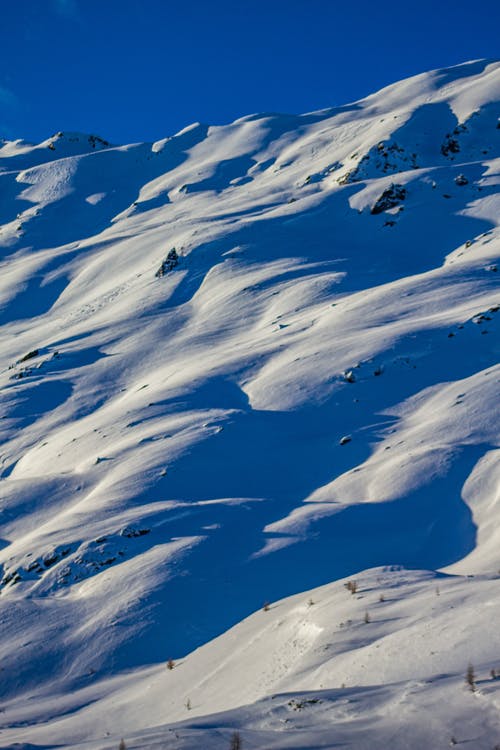 有关下雪的天氣, 低角度拍攝, 冬季的免费素材图片