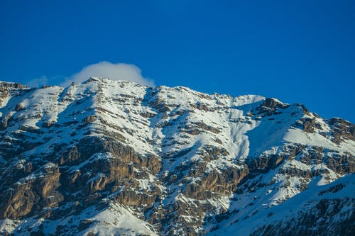 有关低角度拍攝, 冬季, 冷的免费素材图片