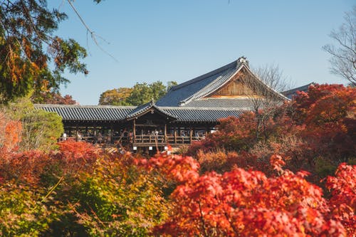 有关下落, 东福寺, 京都的免费素材图片