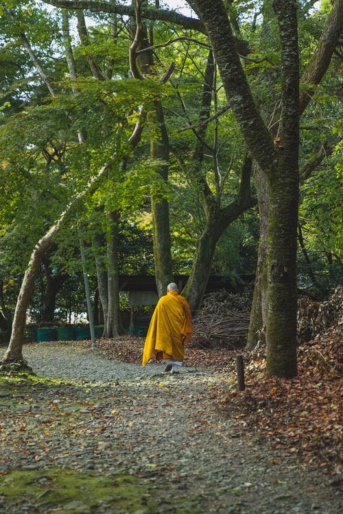 有关s屋, 不露面, 亚洲的免费素材图片