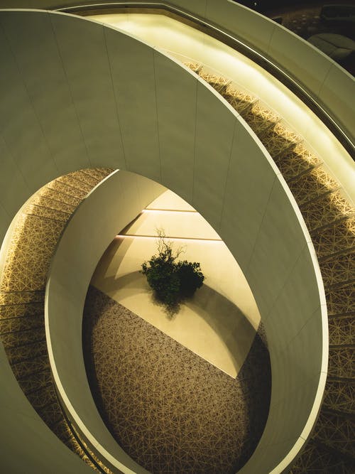 棕色圆形混凝土建筑上的绿色植物 · 免费素材图片