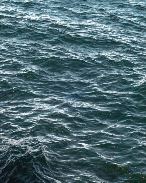 有关水, 水波, 水体的免费素材图片