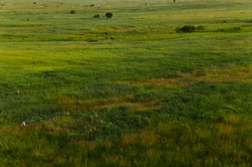 有关天性, 广大, 环境的免费素材图片