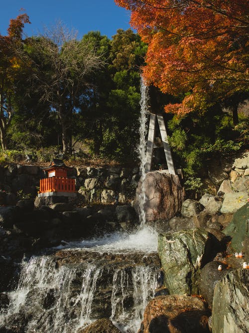 绿树附近的瀑布 · 免费素材图片