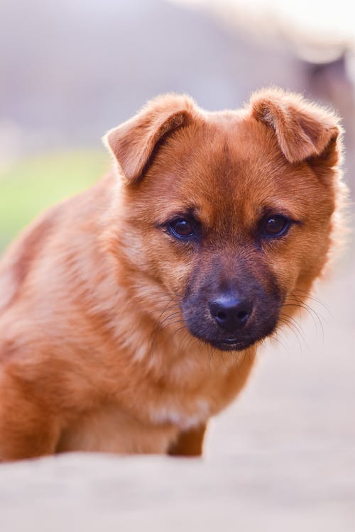 有关伴侣, 公园, 冷静的免费素材图片