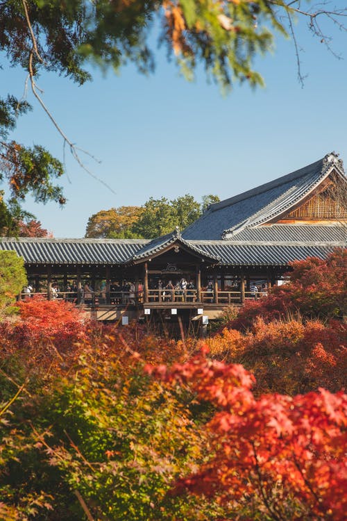 有关下落, 东福寺, 亚洲的免费素材图片