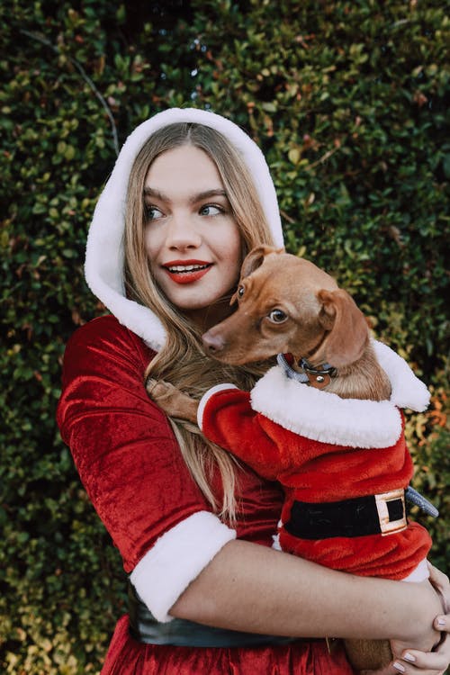 圣诞老人服装的女人抱着她的狗穿着圣诞老人服装 · 免费素材图片