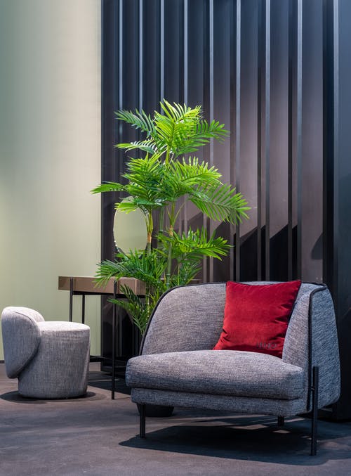绿色的植物，在灰色的沙发椅上的白锅 · 免费素材图片