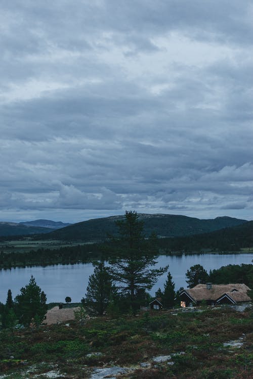 多云的天空下湖附近的绿色松树 · 免费素材图片