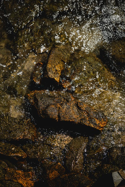 棕色和灰色石头在水面上 · 免费素材图片