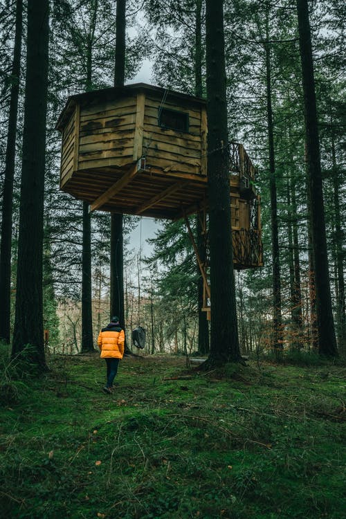 黄夹克和黑裤子的人站在森林里的棕色木房子附近 · 免费素材图片