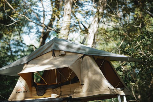 森林里的灰色帐篷 · 免费素材图片