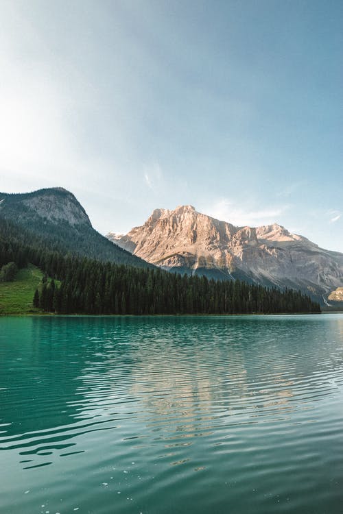 蓝蓝的天空下的湖和山附近的绿树 · 免费素材图片