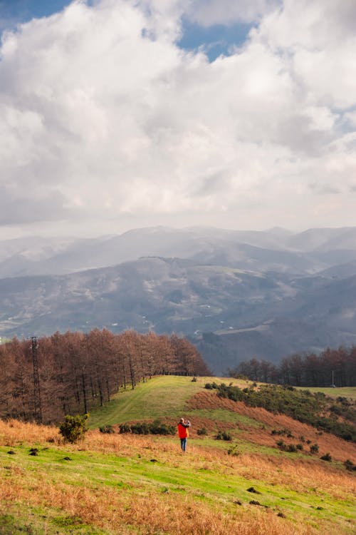 有关不露面, 享受, 假期的免费素材图片