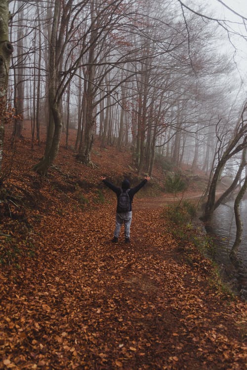 黑色外套和蓝色牛仔牛仔裤的女人站在棕色的叶子覆盖地面 · 免费素材图片