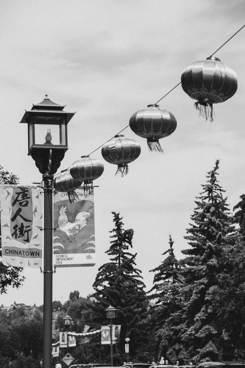 有关bw, 事件, 假日的免费素材图片