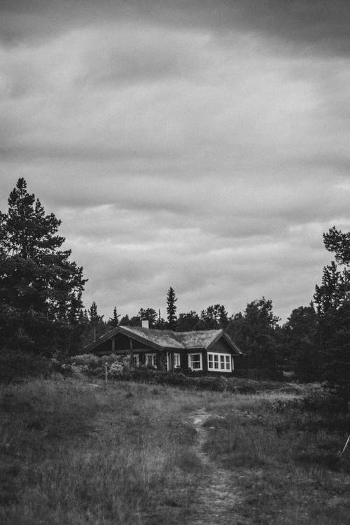 树木包围的房屋的灰度照片 · 免费素材图片