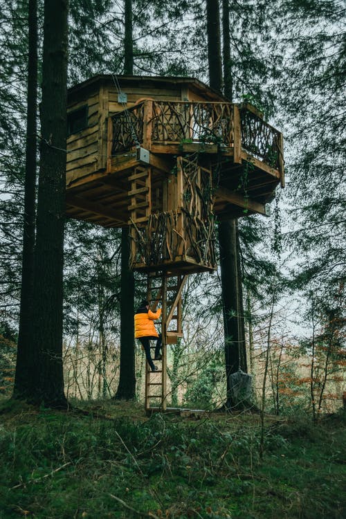 在森林里的棕色木屋 · 免费素材图片
