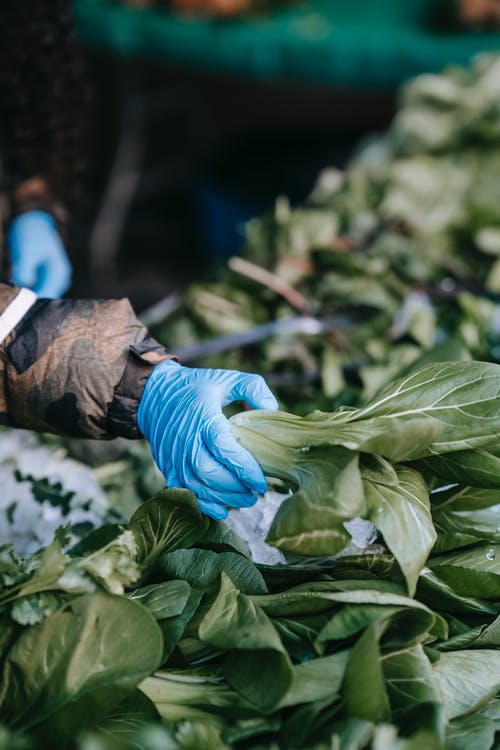 蓝色和绿色塑料包装 · 免费素材图片