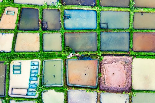 有关一般开销, 俯视图, 农艺学的免费素材图片