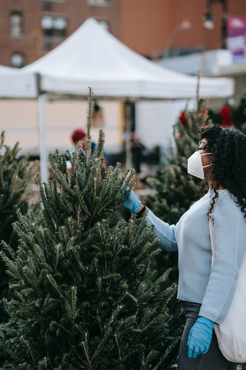 拿着绿色的植物的白色长袖衬衫的女人 · 免费素材图片