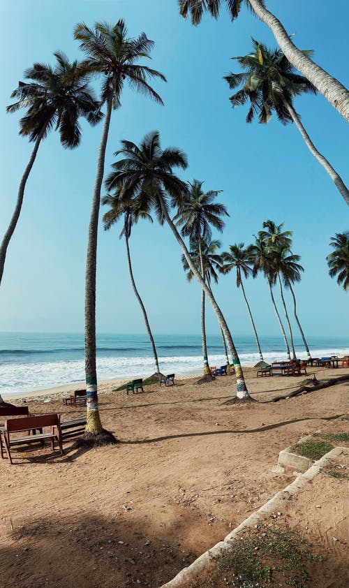 海滩上的人 · 免费素材图片