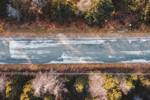 有关下落, 公园, 冷静的免费素材图片