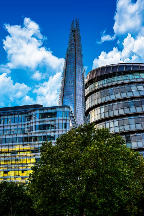 玻璃大楼附近的绿树 · 免费素材图片