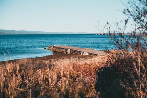有关佩服, 冷静, 和平的的免费素材图片