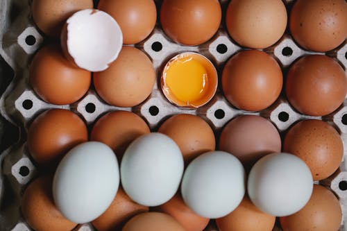 托盘上的白色和棕色鸡蛋 · 免费素材图片