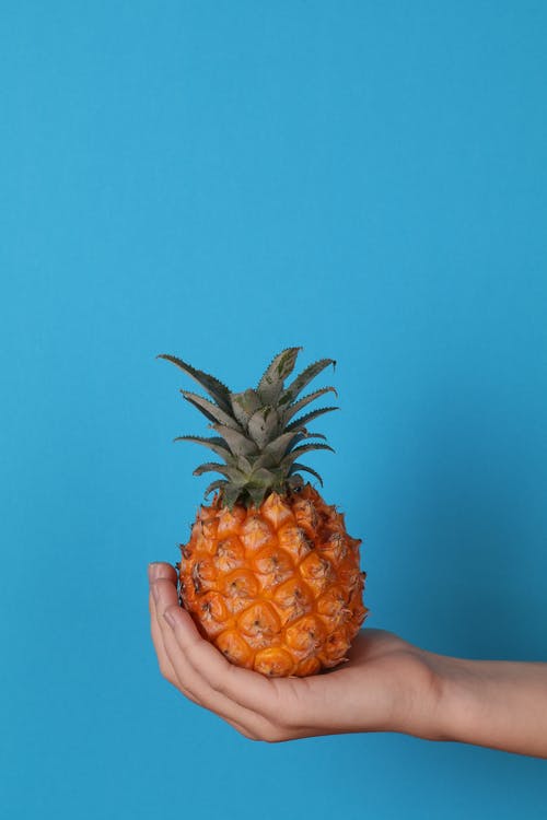 菠萝果实在人的手上 · 免费素材图片