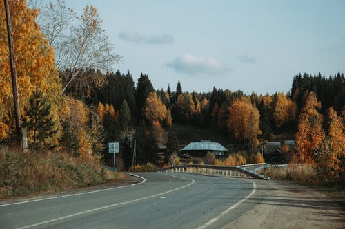树木附近道路上的汽车 · 免费素材图片