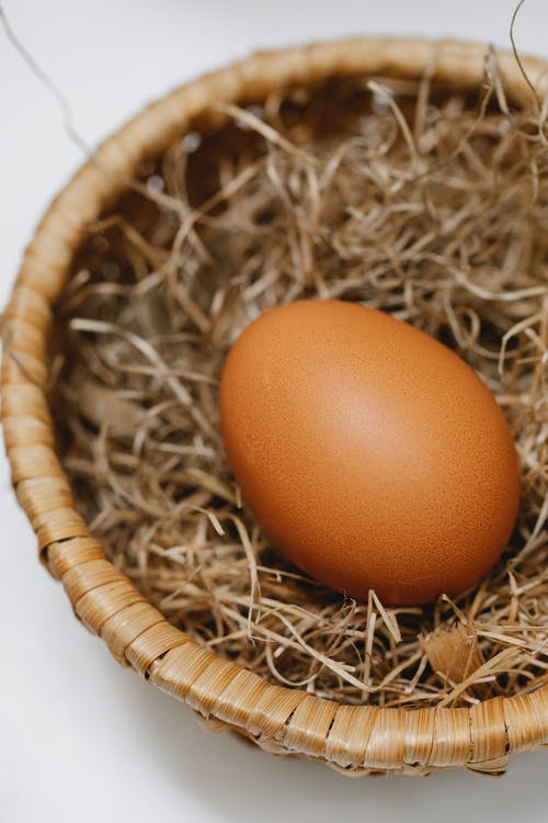 红皮蛋棕色巢 · 免费素材图片