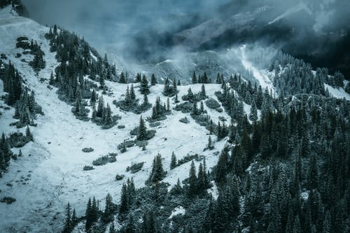 有关冬季, 冷, 大雪覆盖的免费素材图片