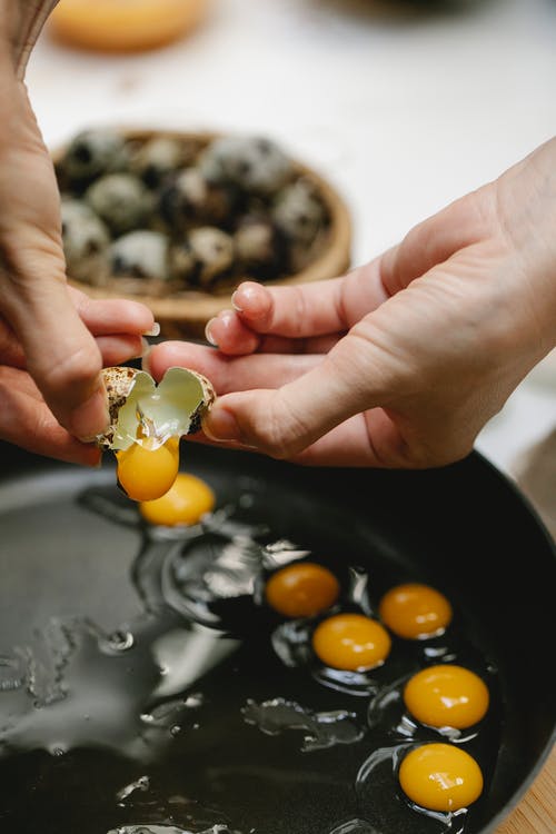 有关不露面, 休息, 供应的免费素材图片