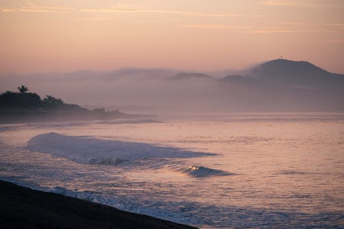 有关场景, 增长, 夏天的免费素材图片