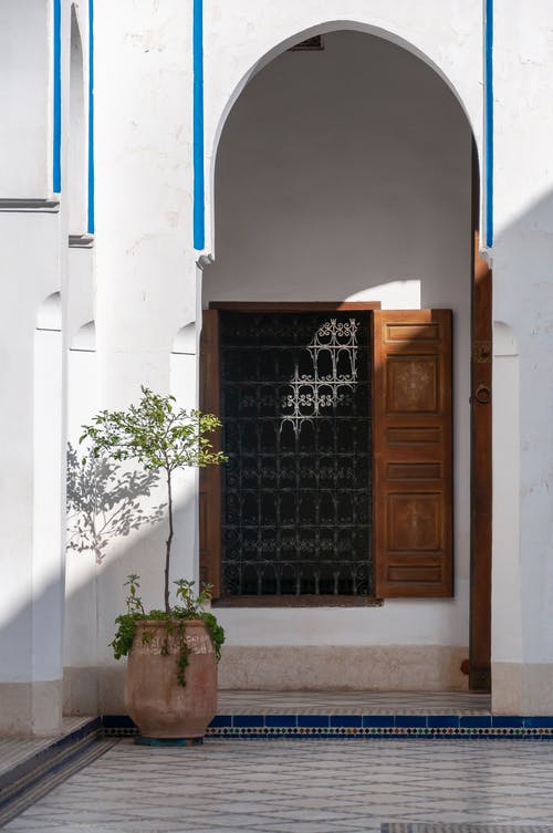 棕色木门附近绿色的植物 · 免费素材图片