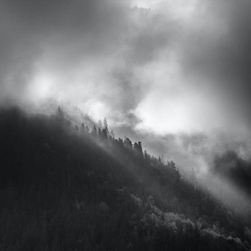 山与树的灰度照片 · 免费素材图片