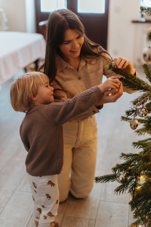 有关假期, 垂直拍摄, 室内的免费素材图片