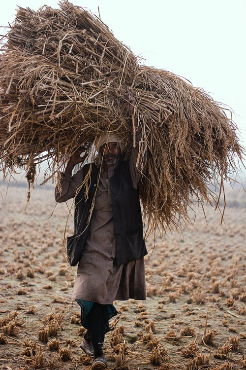 黑夹克站在棕色的原野上的女人 · 免费素材图片