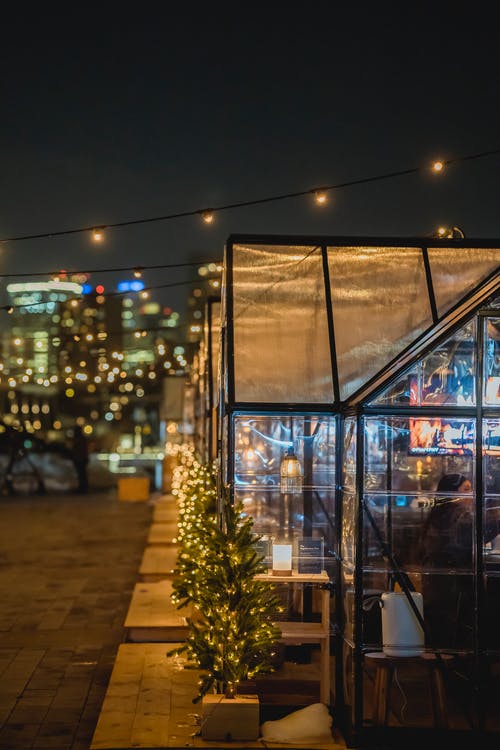 玻璃窗附近的绿色植物 · 免费素材图片