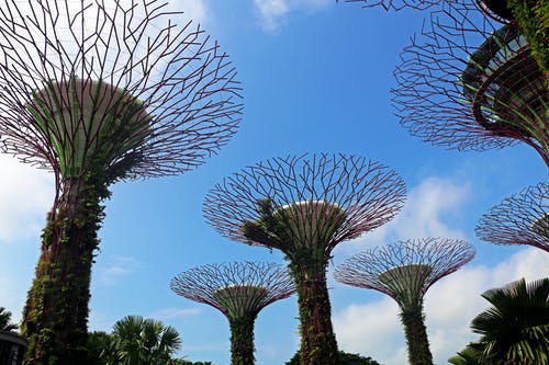 有关人造, 低角度拍摄, 公园的免费素材图片