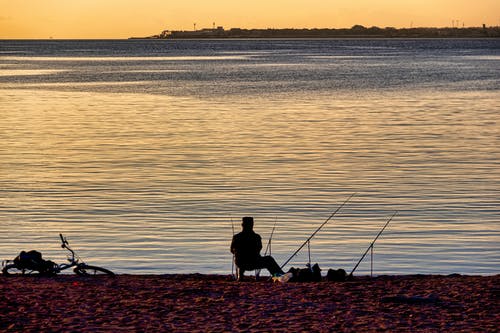 狗在海边日落期间的剪影 · 免费素材图片