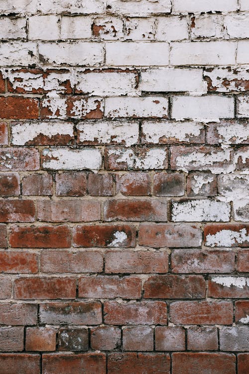 棕色和白色的砖墙 · 免费素材图片