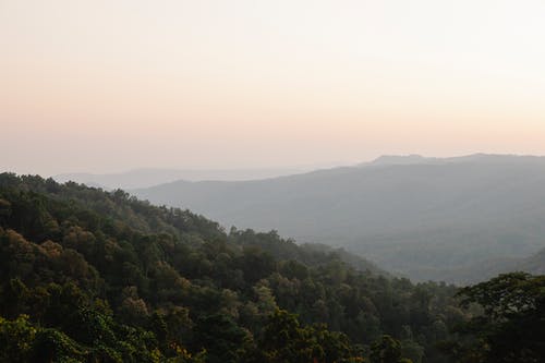 山上的绿树 · 免费素材图片